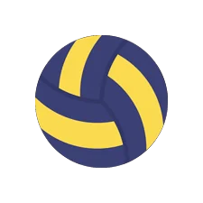 Voleibol